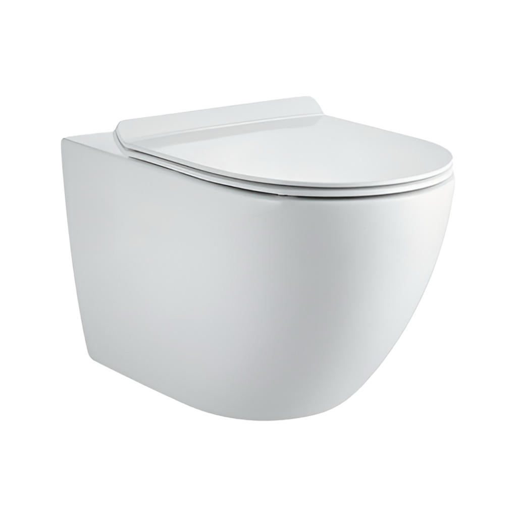 Toilette Suspendu Blanche